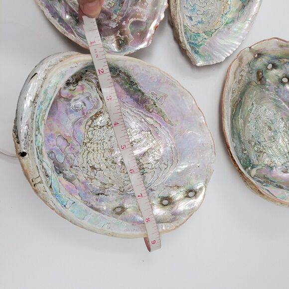 Vintage lot LARGE MOTHER OF PEARL CALIFORNIA ABALONE SHELL UNPOLISHED - Picture 3 of 8